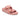 Birkenstock Arizona Eva Big Buckle Kadın Terlik 1032032